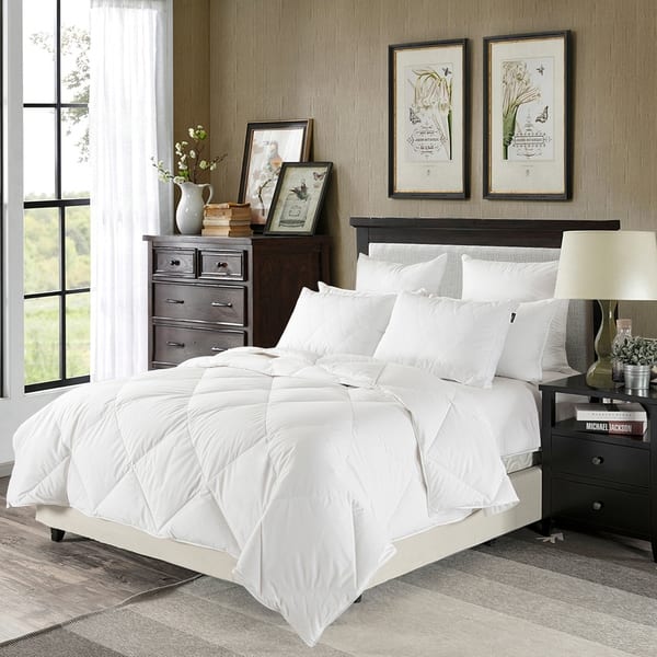 Shop Downluxe 230 Thread Count Lightweight White Down Comforter