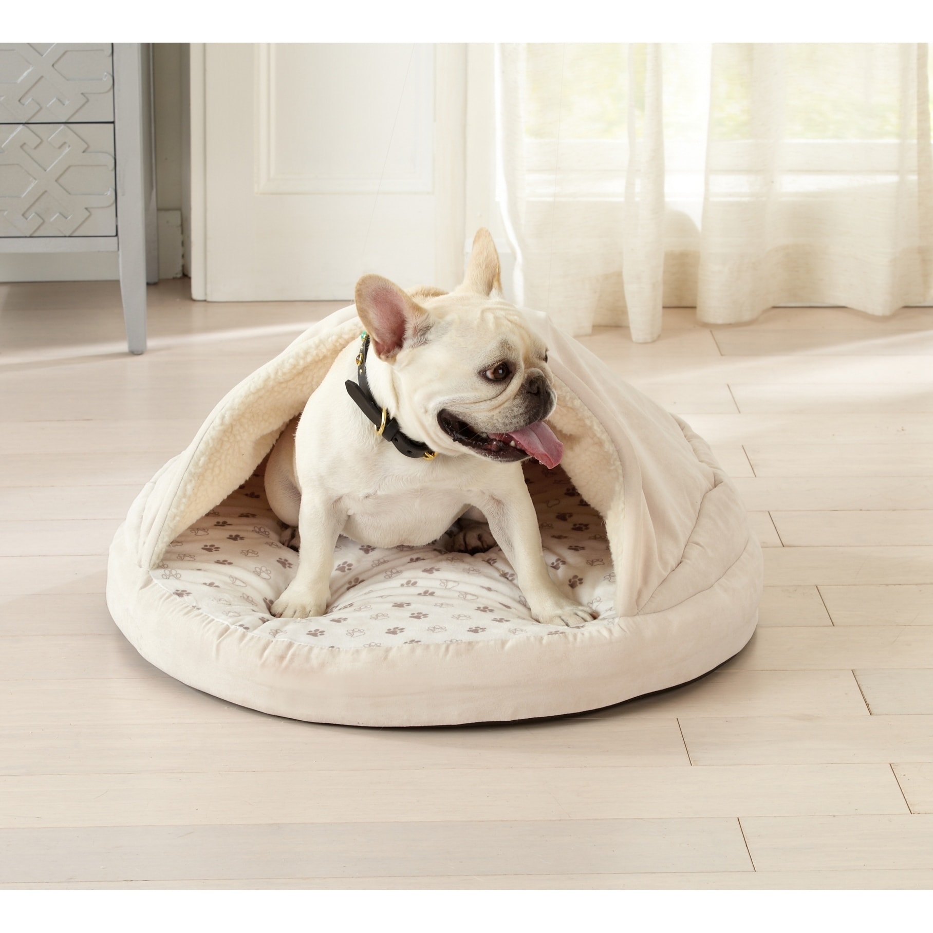 dog bed with