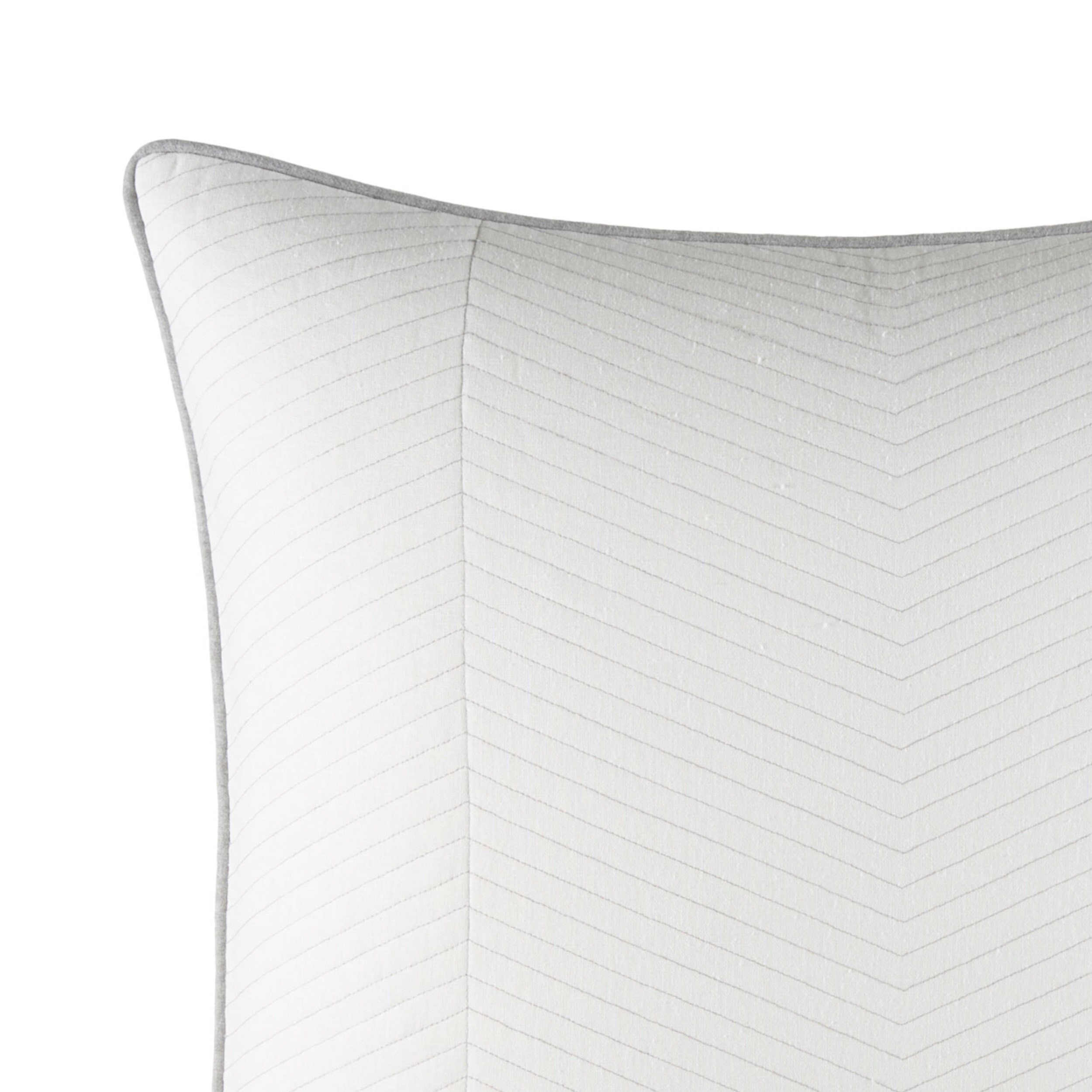 Shop Nautica Clearview Euro Sham Free Shipping On Orders Over