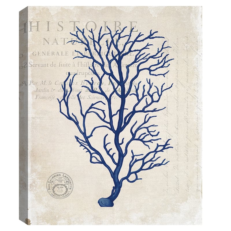 Navy Blue Coral by Stacey Powell Wrapped Canvas Art Print