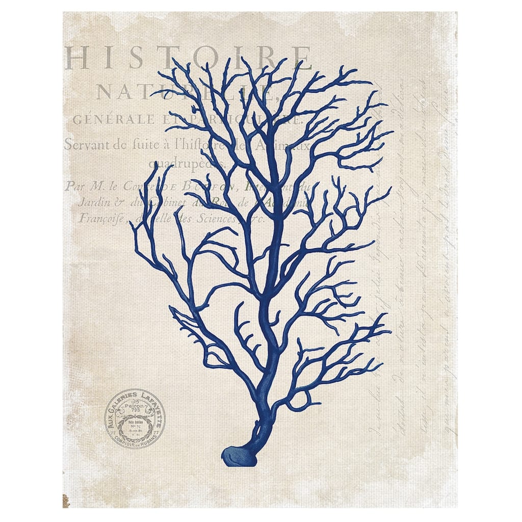 Navy Blue Coral by Stacey Powell Wrapped Canvas Art Print