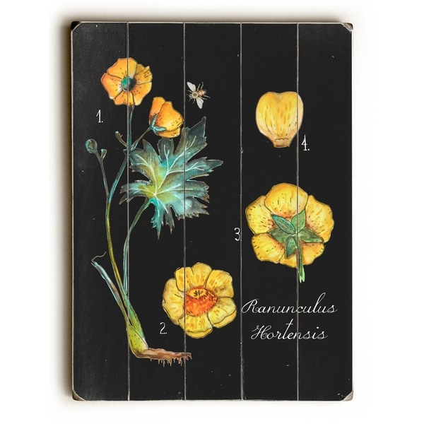 Rannculus - Planked Wood Wall Decor by Jennifer Rizzo Design