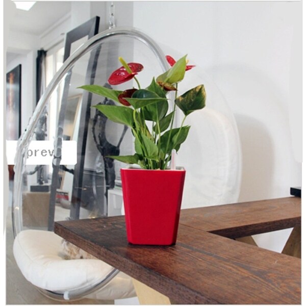 Shop Automatic Watering Plant Feeders Flower Pot Balcony Garden