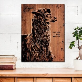Olivia Rose Farmhouse 'Llama' Wrapped Canvas Animal Wall Art