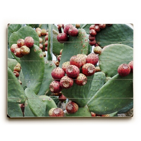 Desert Fruit - Multi Planked Wood Wall Decor by Lisa Argyropoulos