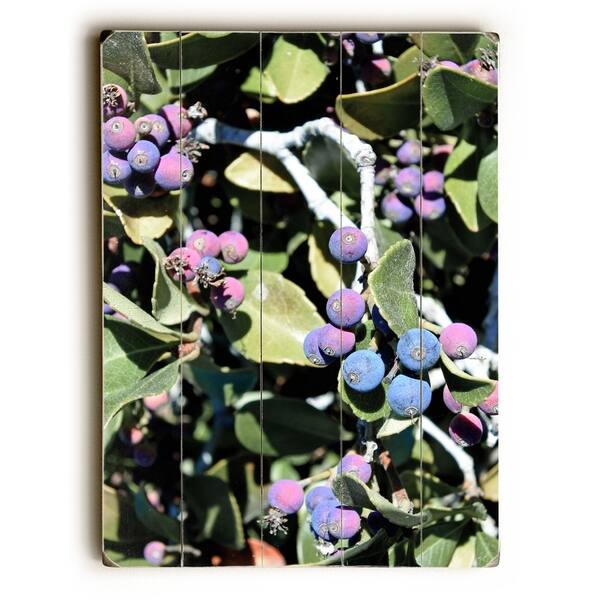 Berries - Multi Planked Wood Wall Decor by Lisa Argyropoulos