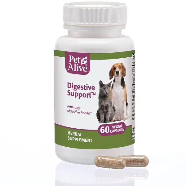 digestive support dog food