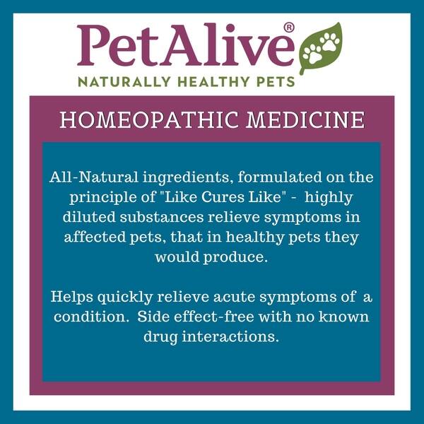 Shop PetAlive Sinu-Rite for Sinus Infection Symptoms, 20 Grams ... Shop PetAlive Sinu-Rite for Sinus Infection Symptoms, 20 Grams ...