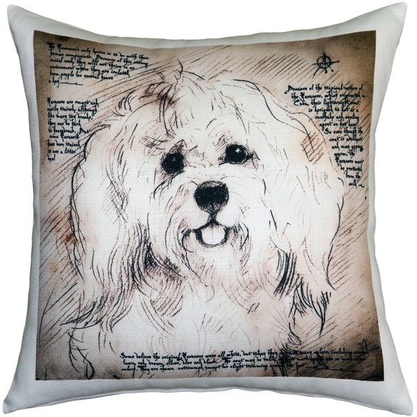 pillow talk havanese