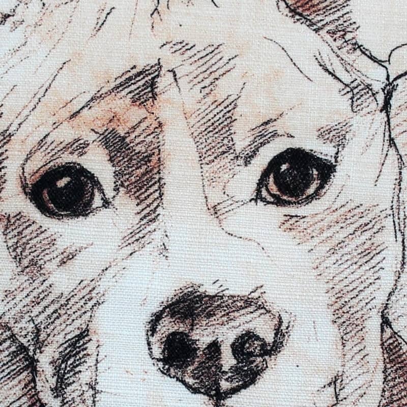 Pit Bull Dog 17x17 Throw Pillow with Polyfill Insert