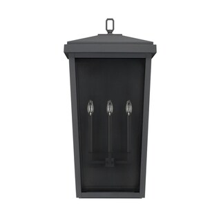 Donnelly 3-light Black Outdoor Wall Lantern