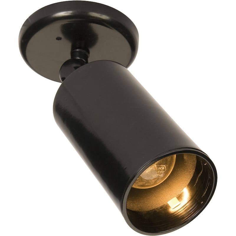 Spots 1-Light Can Wall/Flush Mount