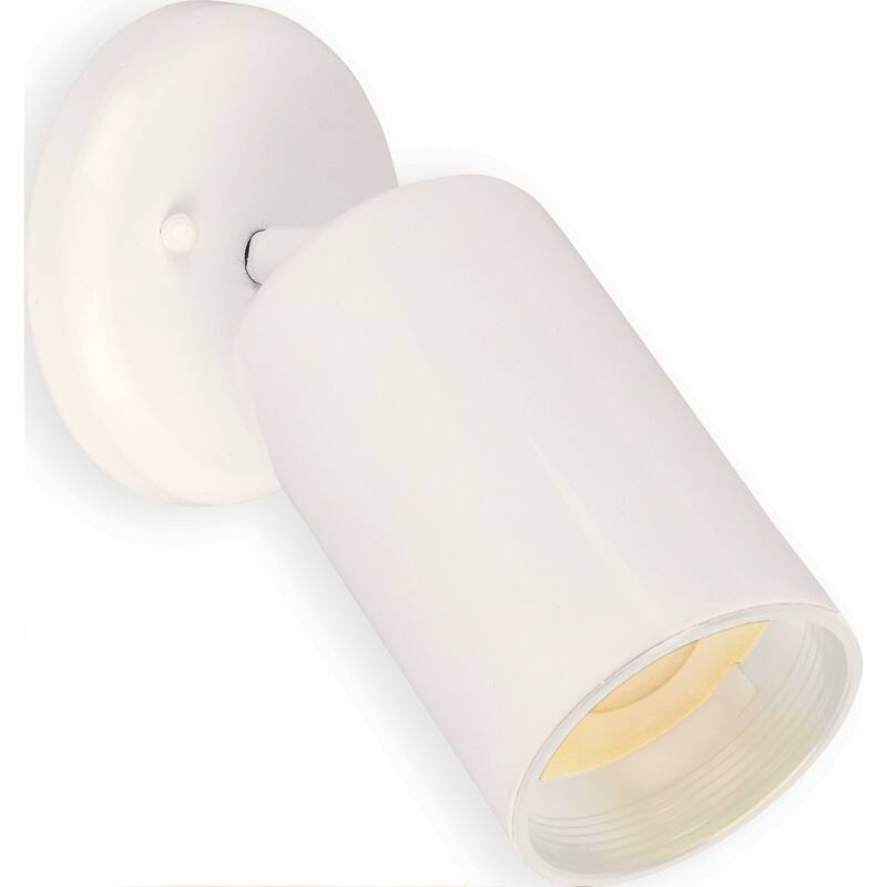 Spots 1-Light Can Wall/Flush Mount - White