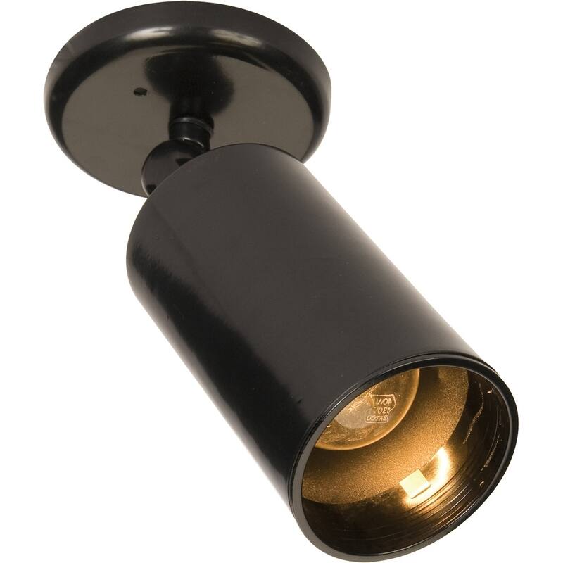 Spots 1-Light Can Wall/Flush Mount