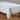 White Polyester Tablecloth With Subtle Damask Pattern
