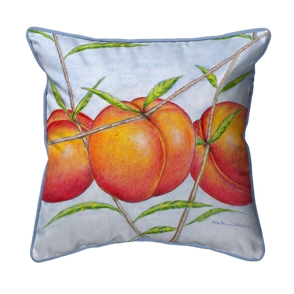 Peaches Extra Large Zippered Pillow 22x22