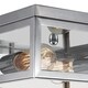 preview thumbnail 2 of 9, Memphis 2-Light Flush Mount Ceiling Light, 4 Clear Glass Panes - 13" L x 13" W x 5.12" H