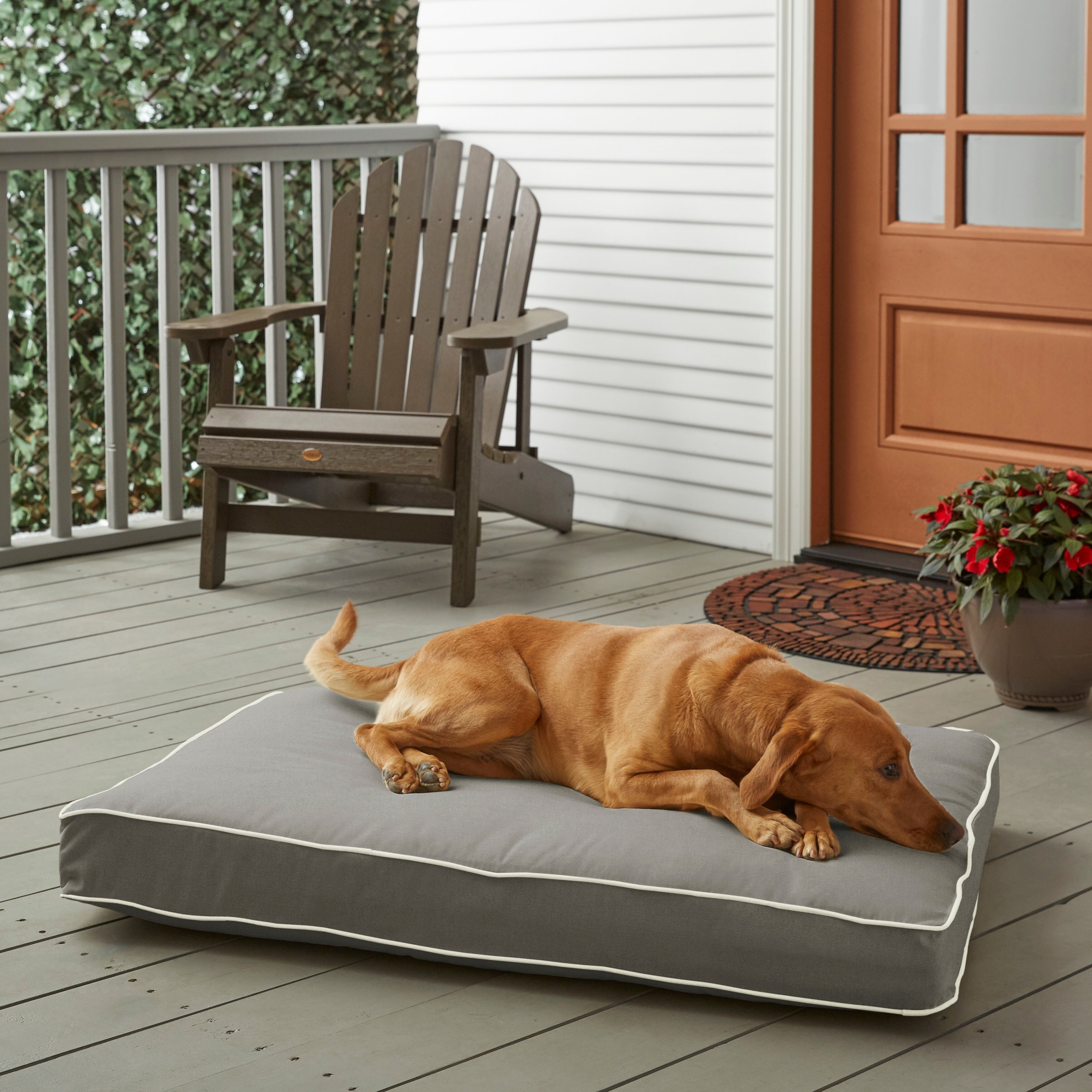 dog blankets for sale