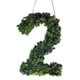 preview thumbnail 8 of 38, Modern Home 12-in. Boxwood Monogram Wreath Letters 2