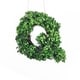 preview thumbnail 32 of 38, Modern Home 12-in. Boxwood Monogram Wreath Letters q