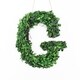 preview thumbnail 23 of 38, Modern Home 12-in. Boxwood Monogram Wreath Letters g