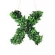preview thumbnail 37 of 38, Modern Home 12-in. Boxwood Monogram Wreath Letters