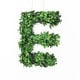 preview thumbnail 21 of 38, Modern Home 12-in. Boxwood Monogram Wreath Letters e