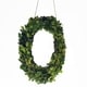 preview thumbnail 40 of 38, Modern Home 12-in. Boxwood Monogram Wreath Letters 0