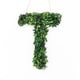 preview thumbnail 34 of 38, Modern Home 12-in. Boxwood Monogram Wreath Letters
