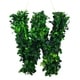 preview thumbnail 4 of 38, Modern Home 12-in. Boxwood Monogram Wreath Letters w