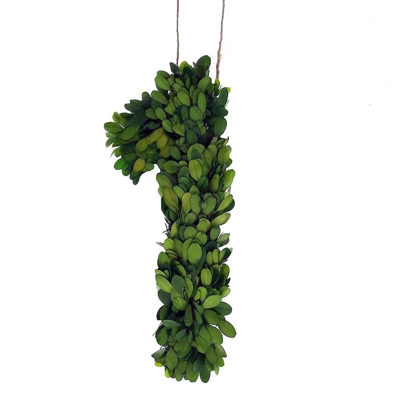 Modern Home 12-in. Boxwood Monogram Wreath Letters - 1