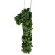 preview thumbnail 7 of 38, Modern Home 12-in. Boxwood Monogram Wreath Letters 1