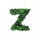 preview thumbnail 39 of 38, Modern Home 12-in. Boxwood Monogram Wreath Letters z
