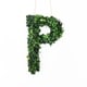 preview thumbnail 31 of 38, Modern Home 12-in. Boxwood Monogram Wreath Letters p