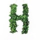 preview thumbnail 24 of 38, Modern Home 12-in. Boxwood Monogram Wreath Letters h