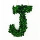 preview thumbnail 1 of 38, Modern Home 12-in. Boxwood Monogram Wreath Letters j