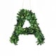 preview thumbnail 17 of 38, Modern Home 12-in. Boxwood Monogram Wreath Letters A