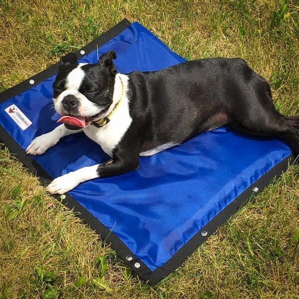 Bed bath and on sale beyond dog cooling mat