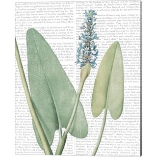 Wild Apple Portfolio 'Summer Botanicals IV' Canvas Art