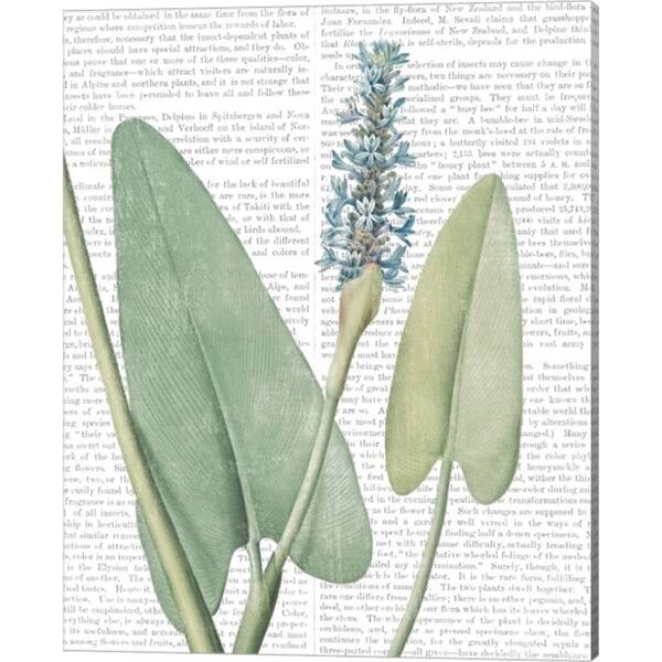 slide 1 of 1, Wild Apple Portfolio 'Summer Botanicals IV' Canvas Art