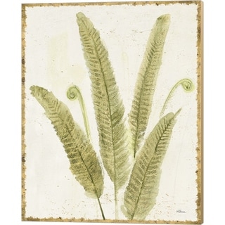 Albena Hristova 'Forest Ferns II v2 Antique' Canvas Art - Bed Bath ...