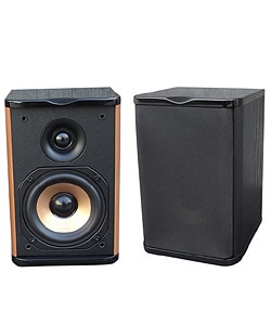 acoustic pa speakers