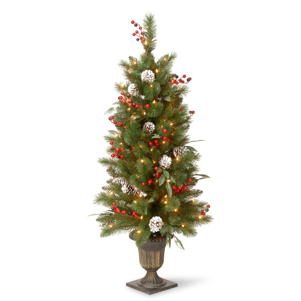 National Tree Company 4 ft. Frosted Pine Berry Entrance Tree with Clear Lights - 4 Foot