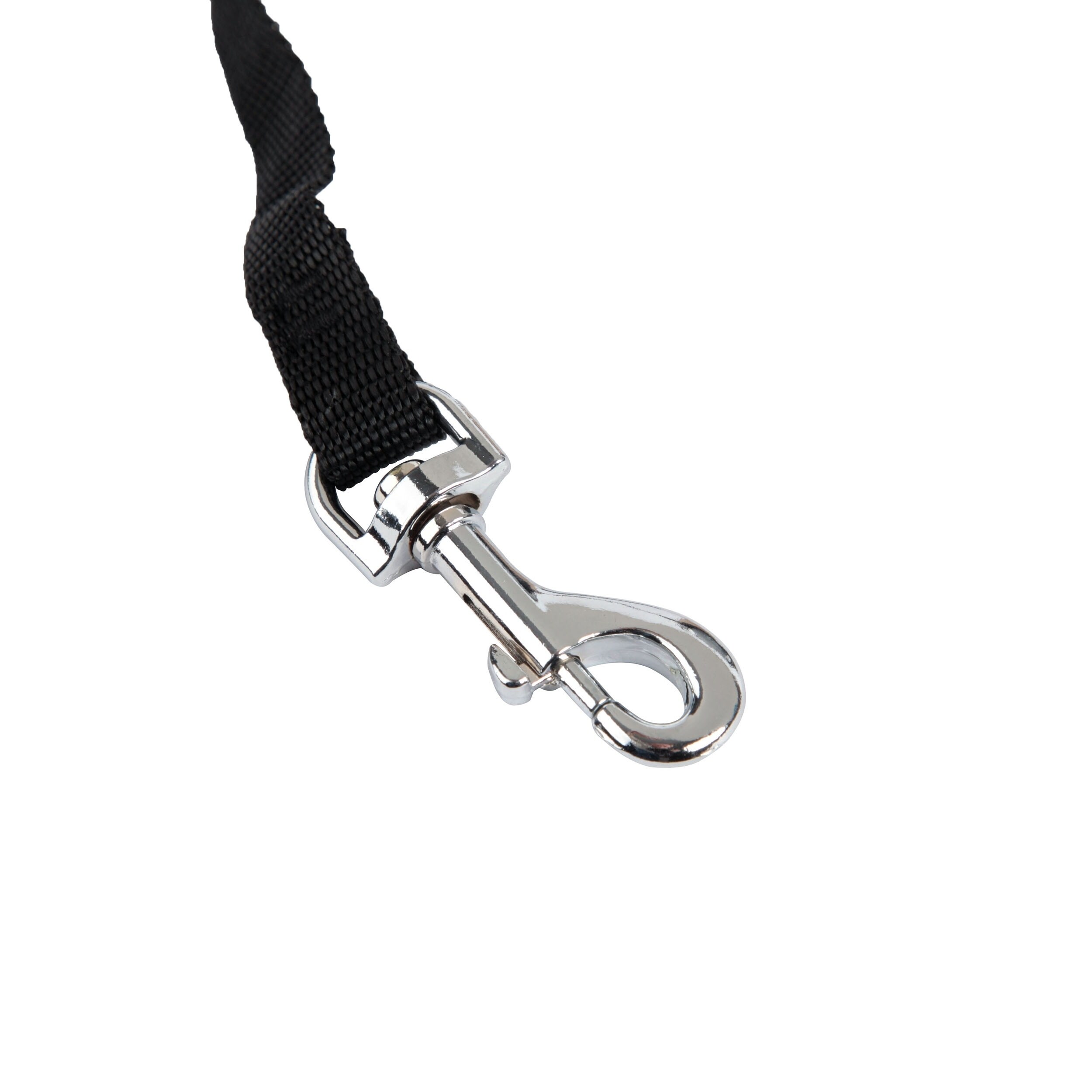 dog leash with light and bag holder