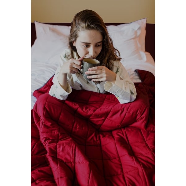 Overstock best sale weighted blanket