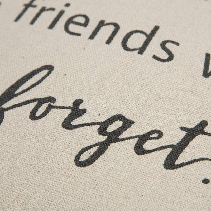 "To Nights We Can't Remember..." Pillow