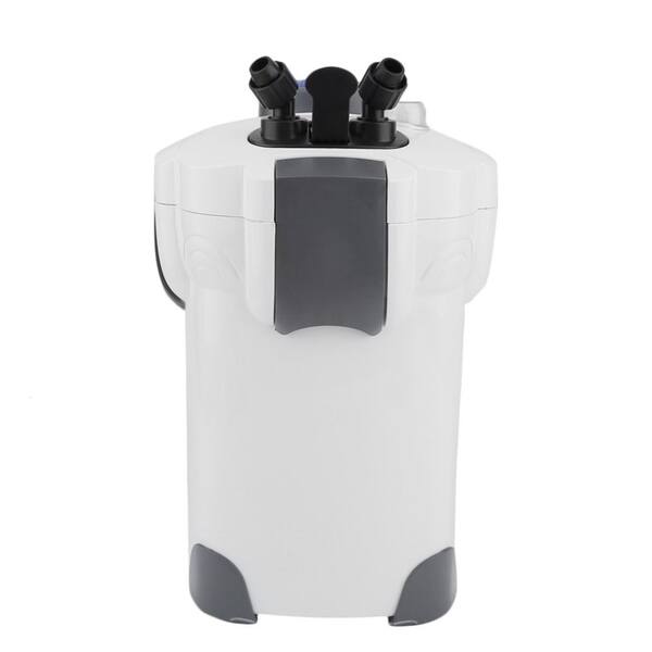 shop 200 gallon aquarium fish tank