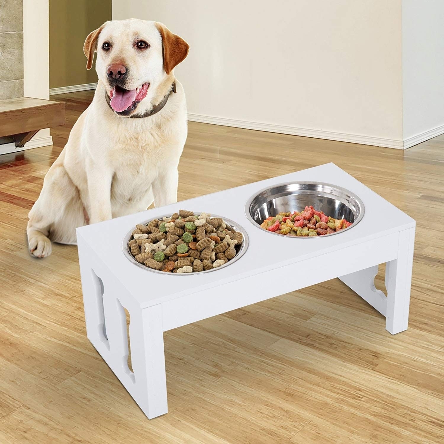 elevated pet food bowls