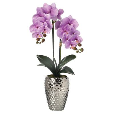 Phalaenopsis Orchid In Hammer Silver Pot 24"