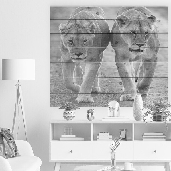 Designart 'Lions in Black and White' Animal Print on Natural Pine Wood